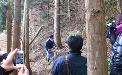 家づくりの会2年_木材見学